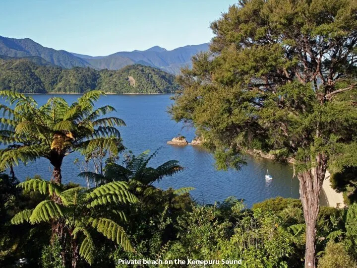 Private beach on the Kenepuru Sound