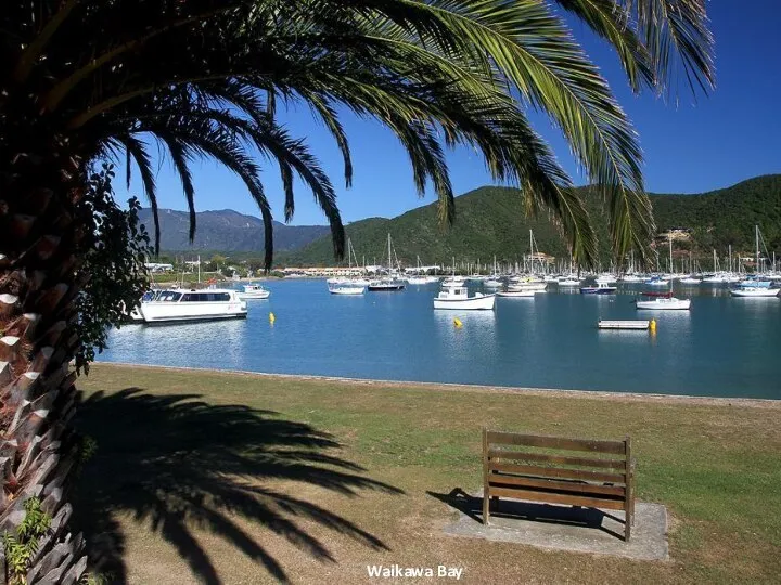 Waikawa Bay