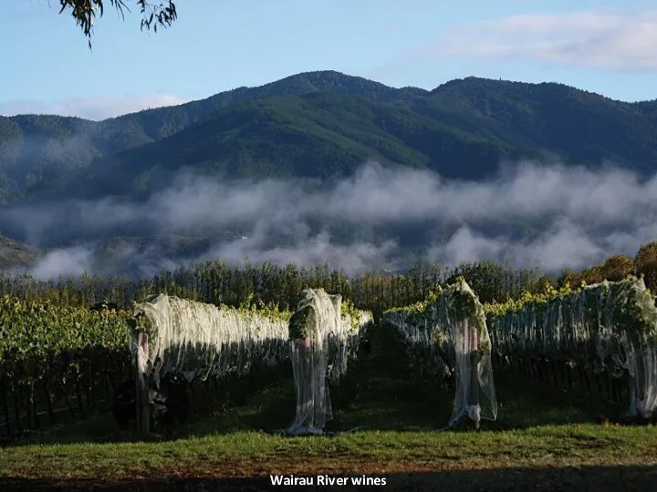 Wairau River wines