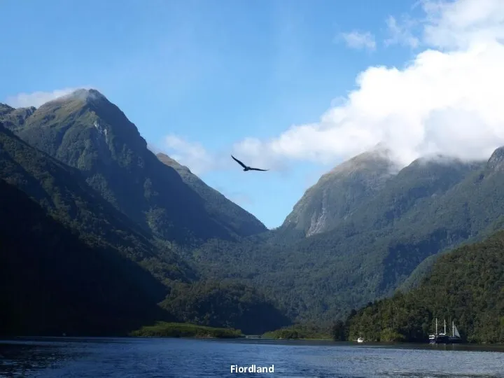 Fiordland