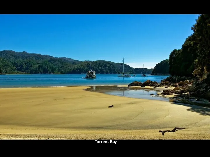 Torrent Bay