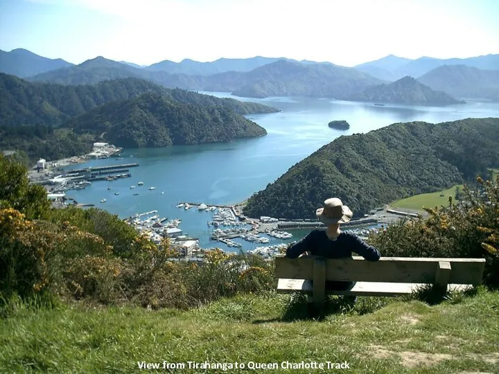 View from Tirahanga to Queen Charlotte Track