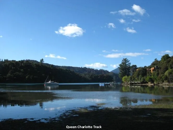 Queen Charlotte Track