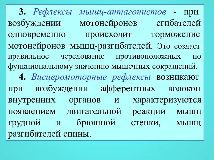 3. Рефлексы мышц-антагонистов - при возбуждении мотонейронов сгибателей одновременно происходит торможение мотонейронов