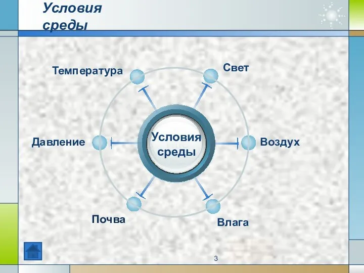 Условия среды Title Влага Воздух Температура Давление Почва Условия среды