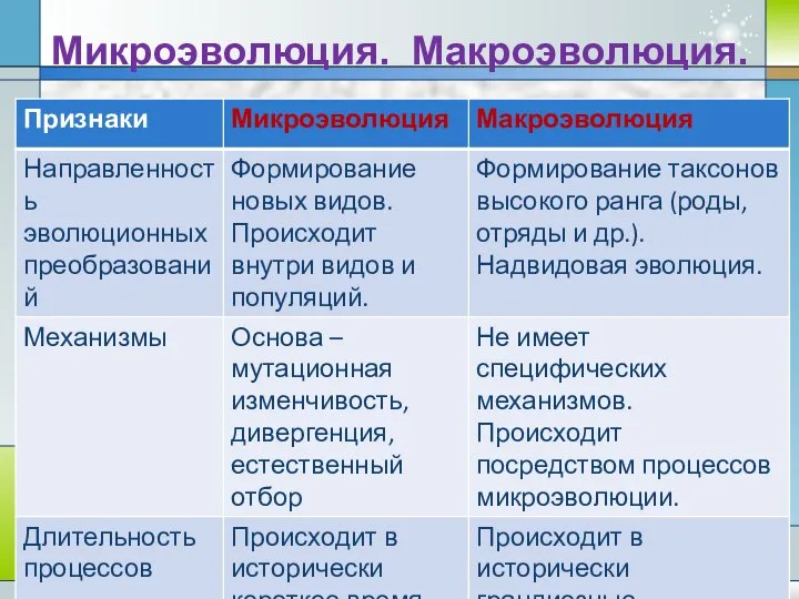 Микроэволюция. Макроэволюция.