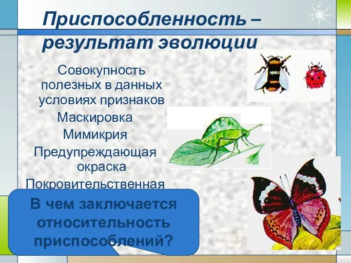 Приспособленность – результат эволюции Совокупность полезных в данных условиях признаков Маскировка Мимикрия