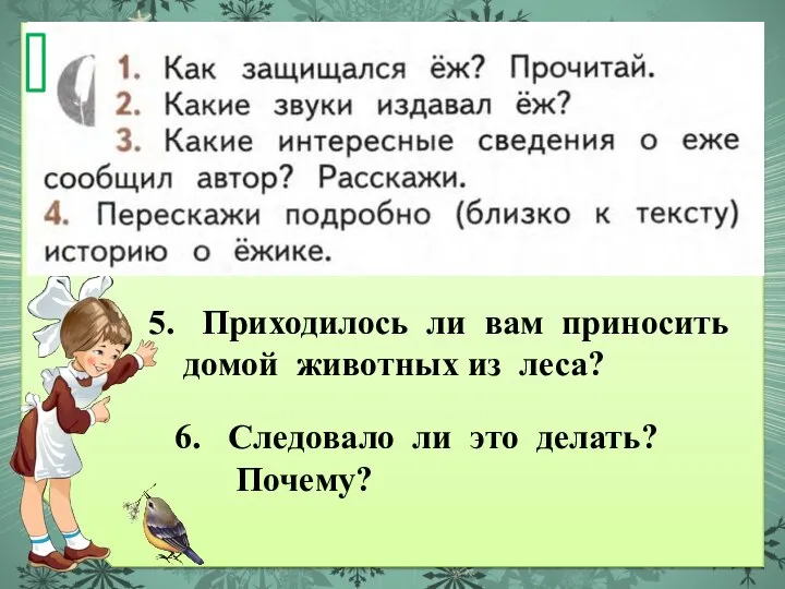 Приходилось ли вам приносить домой животных из леса? Следовало ли это делать? Почему?