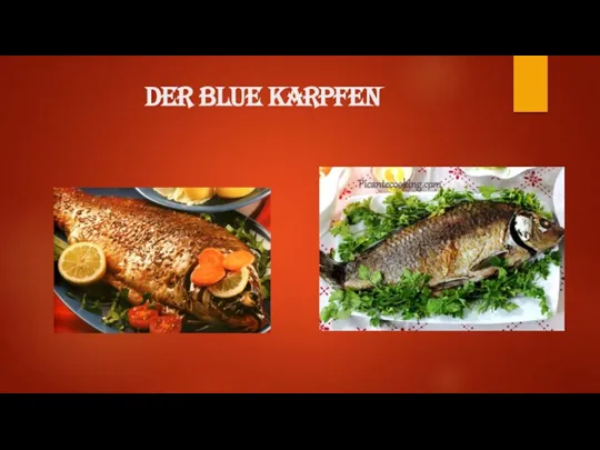 der Blue Karpfen