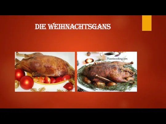 die Weihnachtsgans