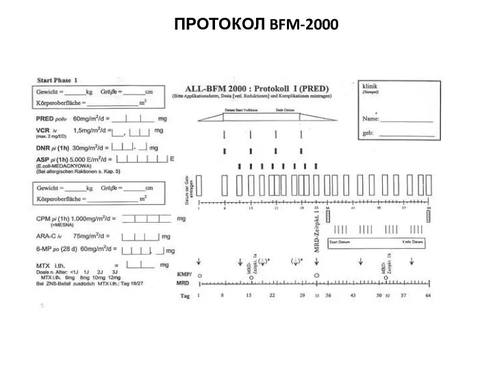 ПРОТОКОЛ BFM-2000