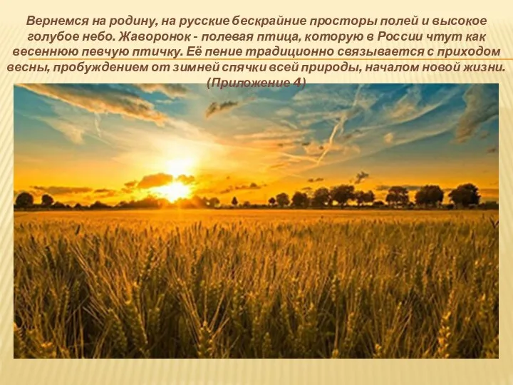 Вернемся на родину, на русские бескрайние просторы полей и высокое голубое небо.