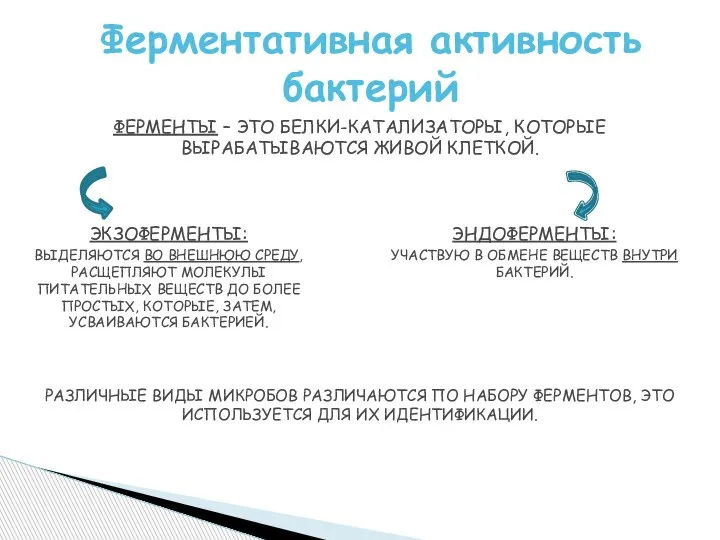 Ферментативная активность бактерий ФЕРМЕНТЫ – ЭТО БЕЛКИ-КАТАЛИЗАТОРЫ, КОТОРЫЕ ВЫРАБАТЫВАЮТСЯ ЖИВОЙ КЛЕТКОЙ. ЭКЗОФЕРМЕНТЫ: