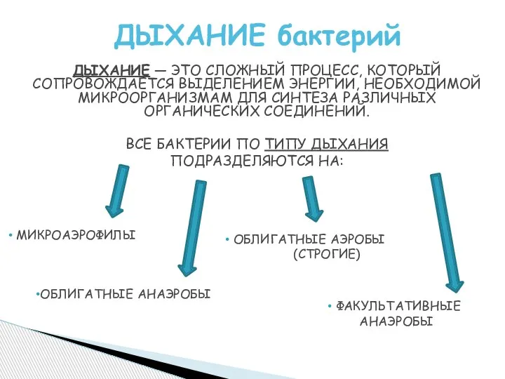 ДЫХАНИЕ бактерий ДЫХАНИЕ — ЭТО СЛОЖНЫЙ ПРОЦЕСС, КОТОРЫЙ СОПРОВОЖДАЕТСЯ ВЫДЕЛЕНИЕМ ЭНЕРГИИ, НЕОБХОДИМОЙ