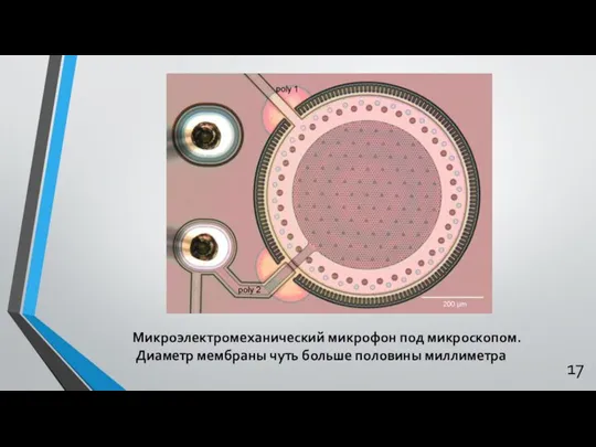 Микроэлектромеханический микрофон под микроскопом. Диаметр мембраны чуть больше половины миллиметра 17