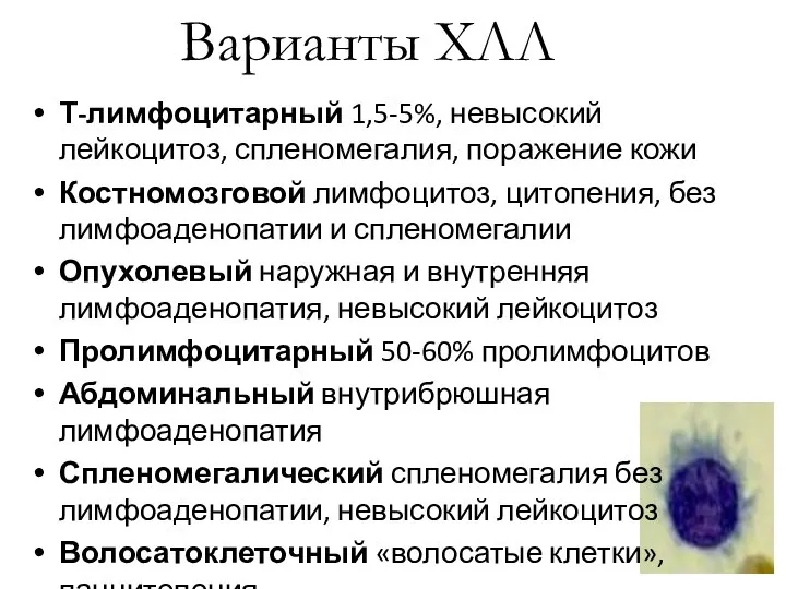 Варианты ХЛЛ Т-лимфоцитарный 1,5-5%, невысокий лейкоцитоз, спленомегалия, поражение кожи Костномозговой лимфоцитоз, цитопения,