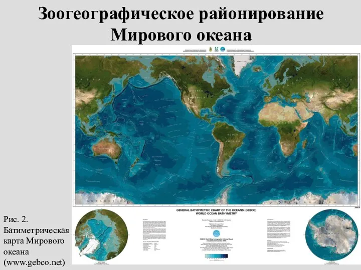 Зоогеографическое районирование Мирового океана Рис. 2. Батиметрическая карта Мирового океана (www.gebco.net)