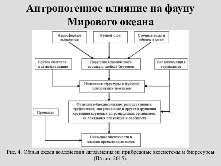 Рис. 4. Общая схема воздействия загрязнения на прибрежные экосистемы и биоресурсы (Патин,