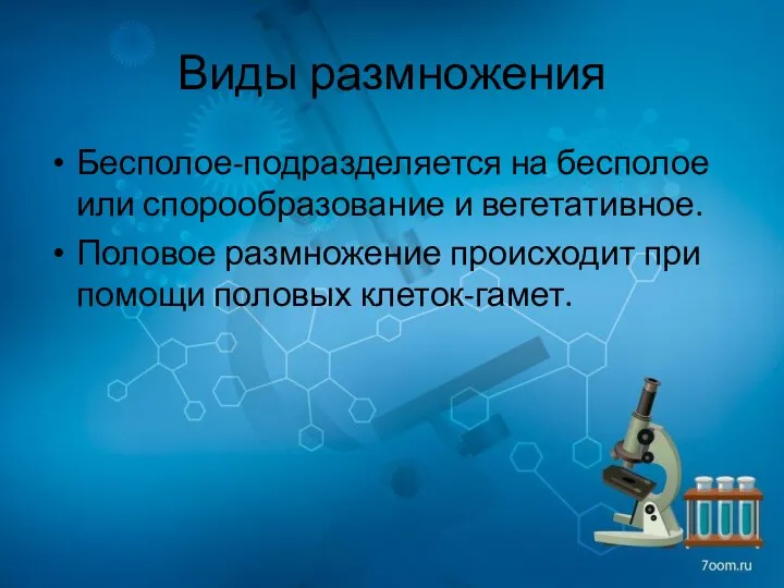 Виды размножения Бесполое-подразделяется на бесполое или спорообразование и вегетативное. Половое размножение происходит при помощи половых клеток-гамет.