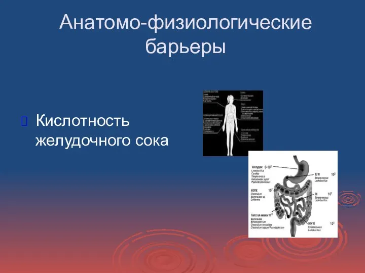 Анатомо-физиологические барьеры Кислотность желудочного сока