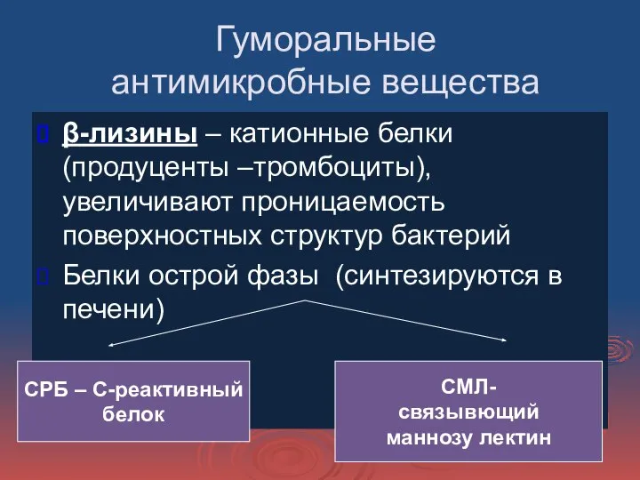 Гуморальные антимикробные вещества β-лизины – катионные белки (продуценты –тромбоциты), увеличивают проницаемость поверхностных