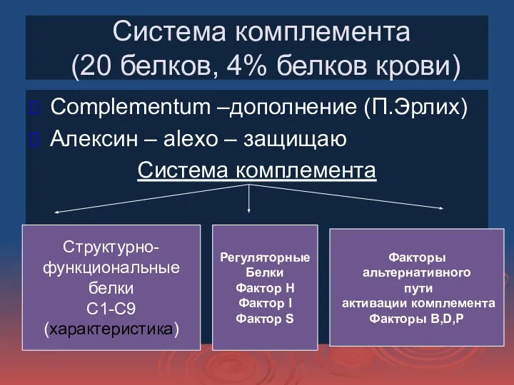 Система комплемента (20 белков, 4% белков крови) Complementum –дополнение (П.Эрлих) Алексин –