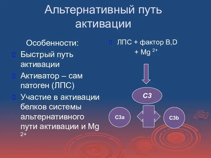 Альтернативный путь активации Особенности: Быстрый путь активации Активатор – сам патоген (ЛПС)