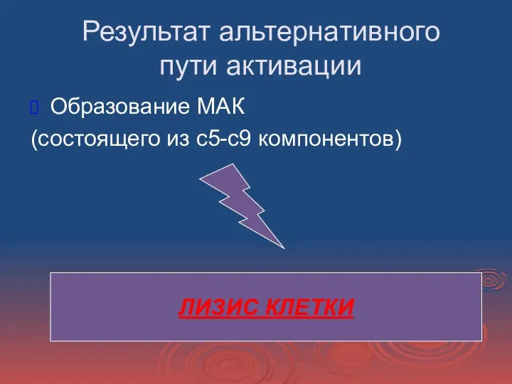 Результат альтернативного пути активации Образование МАК (состоящего из с5-с9 компонентов) ЛИЗИС КЛЕТКИ