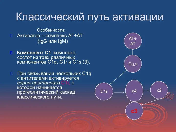 Классический путь активации Особенности: Активатор – комплекс АГ+АТ (IgG или IgM) Компонент