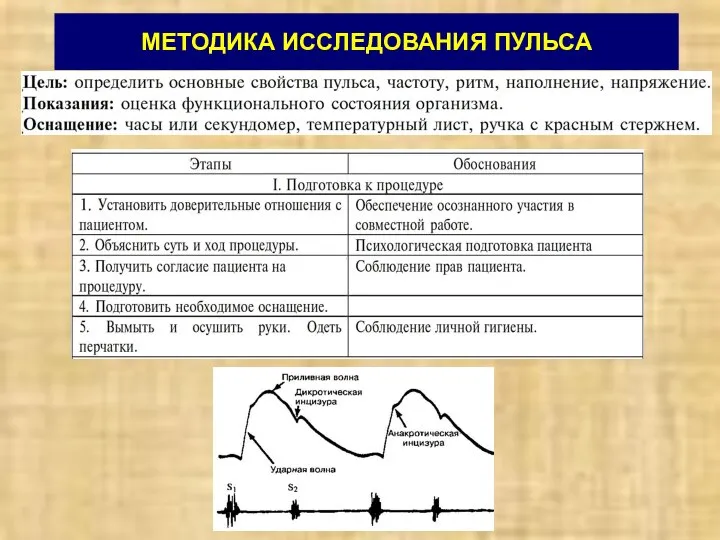 МЕТОДИКА ИССЛЕДОВАНИЯ ПУЛЬСА