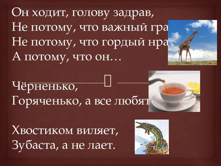 Он ходит, голову задрав, Не потому, что важный граф, Не потому, что