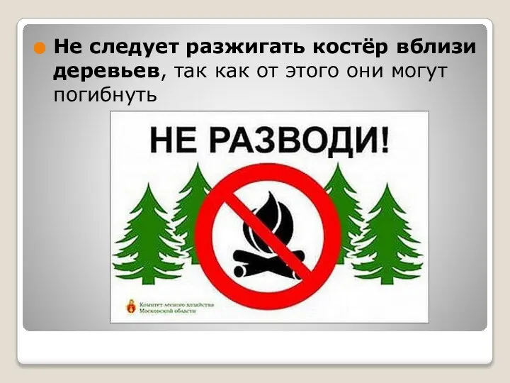 Не следует разжигать костёр вблизи деревьев, так как от этого они могут погибнуть