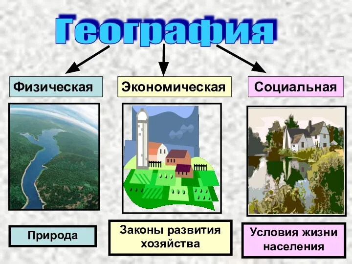 Физическая Экономическая Социальная Законы развития хозяйства Условия жизни населения География Природа