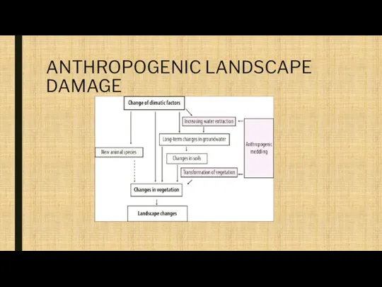 ANTHROPOGENIC LANDSCAPE DAMAGE