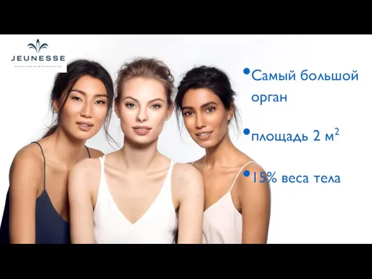 Самый большой орган площадь 2 м2 15% веса тела