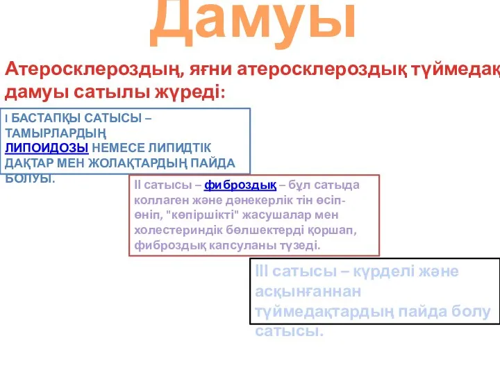 Дамуы Атеросклероздың, яғни атеросклероздық түймедақтың дамуы сатылы жүреді: I БАСТАПҚЫ САТЫСЫ –