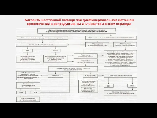 Алгоритм неотложной помощи при дисфункциональном маточном кровотечении в репродуктивном и климактерическом периодах