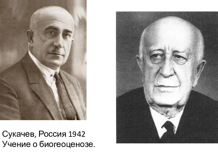 Сукачев, Россия 1942 Учение о биогеоценозе.