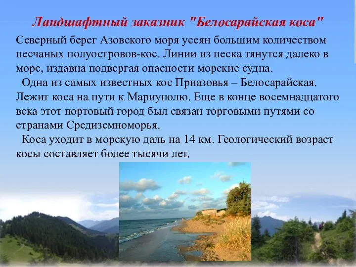 Ландшафтный заказник "Белосарайская коса" Северный берег Азовского моря усеян большим количеством песчаных