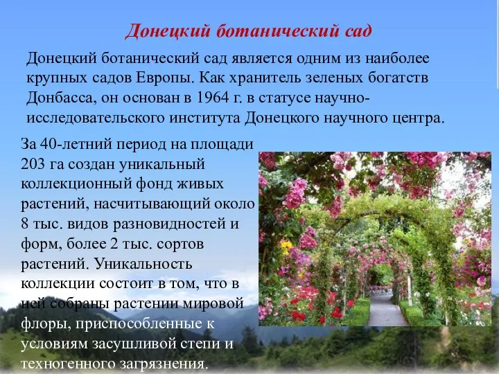 Донецкий ботанический сад Донецкий ботанический сад является одним из наиболее крупных садов