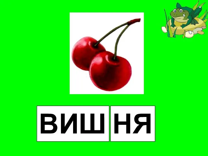 ВИШ НЯ