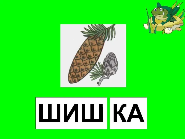 ШИШ КА