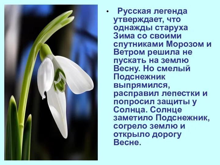 Русская легенда утверждает, что однажды старуха Зима со своими спутниками Морозом и