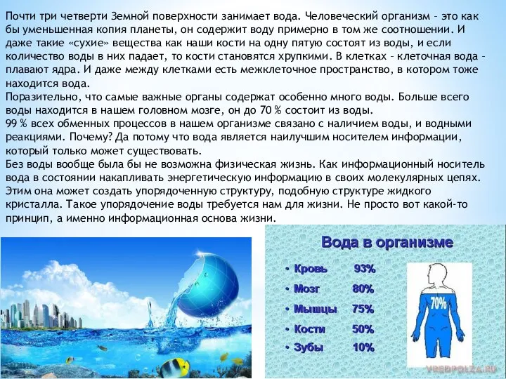 Почти три четверти Земной поверхности занимает вода. Человеческий организм – это как