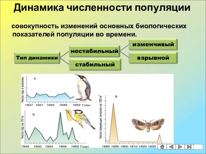 совокупность изменений основных биологических показателей популяции во времени. Динамика численности популяции