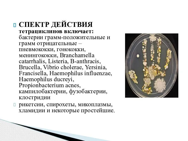 СПЕКТР ДЕЙСТВИЯ тетрациклинов включает: бактерии грамм-положительные и грамм отрицательные – пневмококки, гонококки,