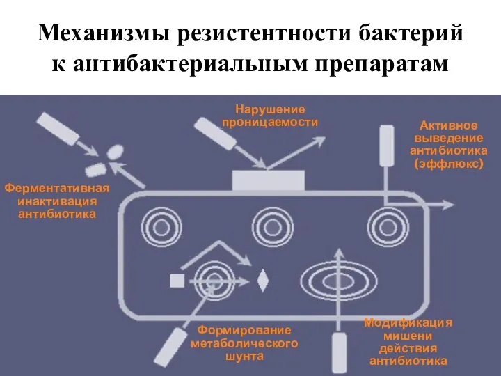 Механизмы резистентности бактерий к антибактериальным препаратам Ферментативная инактивация антибиотика Модификация мишени действия