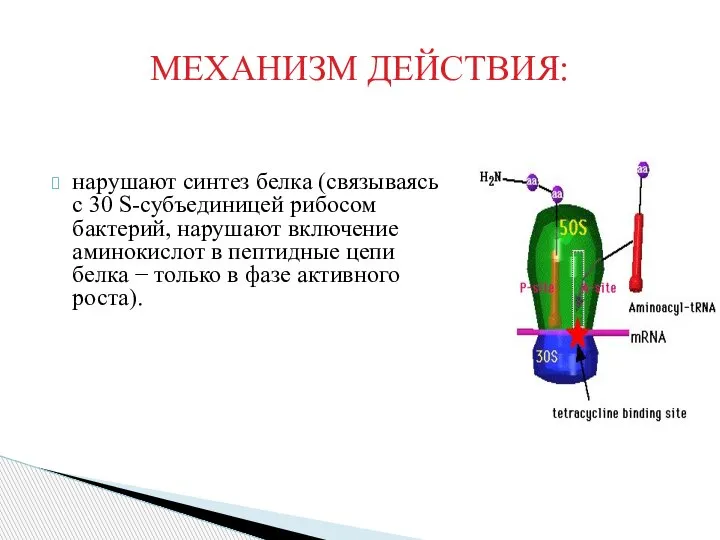 МЕХАНИЗМ ДЕЙСТВИЯ: нарушают синтез белка (связываясь с 30 S-субъединицей рибосом бактерий, нарушают