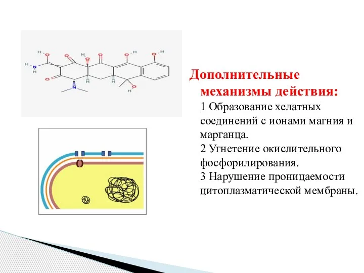 Дополнительные механизмы действия: 1 Образование хелатных соединений с ионами магния и марганца.