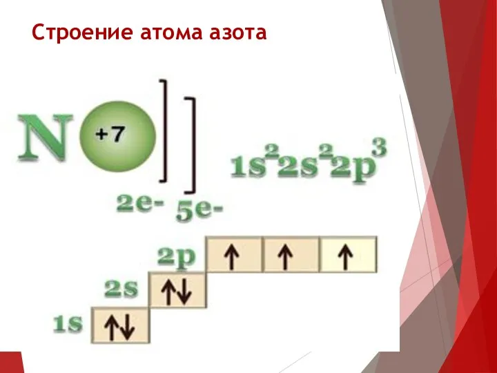 Строение атома азота